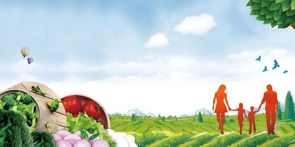 尊龙凯时：2021果蔬清洗机的市场现状及发展分析