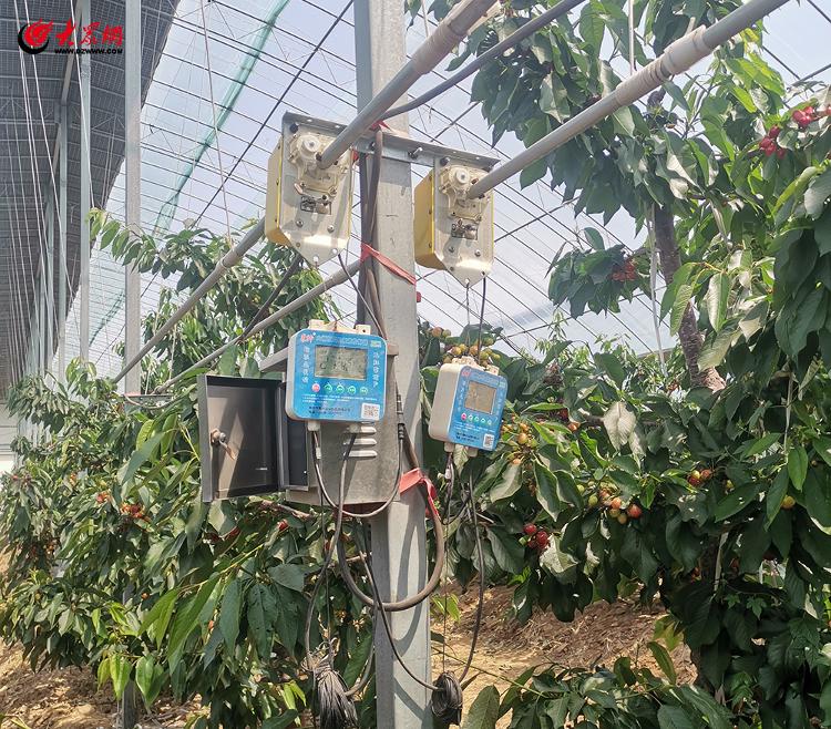 尊龙凯时网站：胶州：全程全面机械化绘就设施农业高质量发展新丰景(图3)