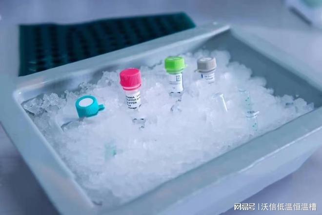 尊龙凯时：常用仪器科普之：雪花制冰机水平梅毒旋转仪超声波清洗机
