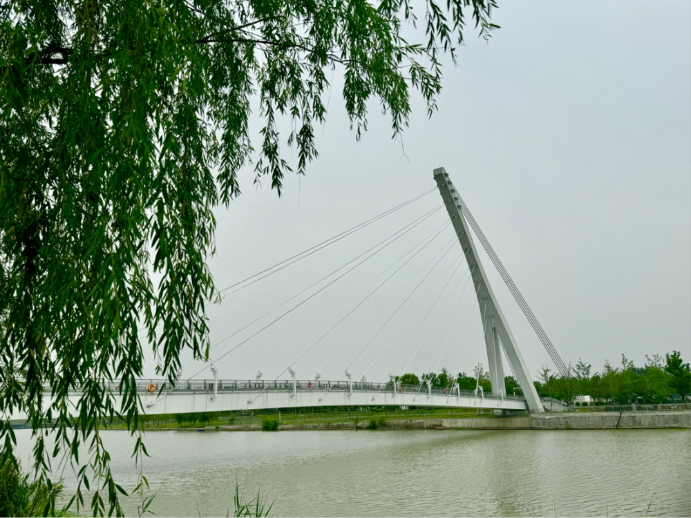 人生就是博：何以中国运载千秋丨古老运河“流”进现代生活宿迁擦亮运河文化新名片(图2)