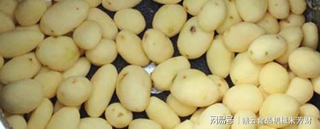 全自动多功能变频调速土豆脱机土豆芋头白附子去皮清洗的机器