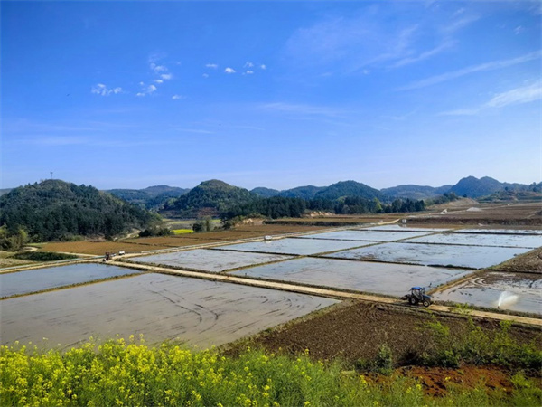 开阳县：做好绿色发展文章推动乡村产业振兴(图2)