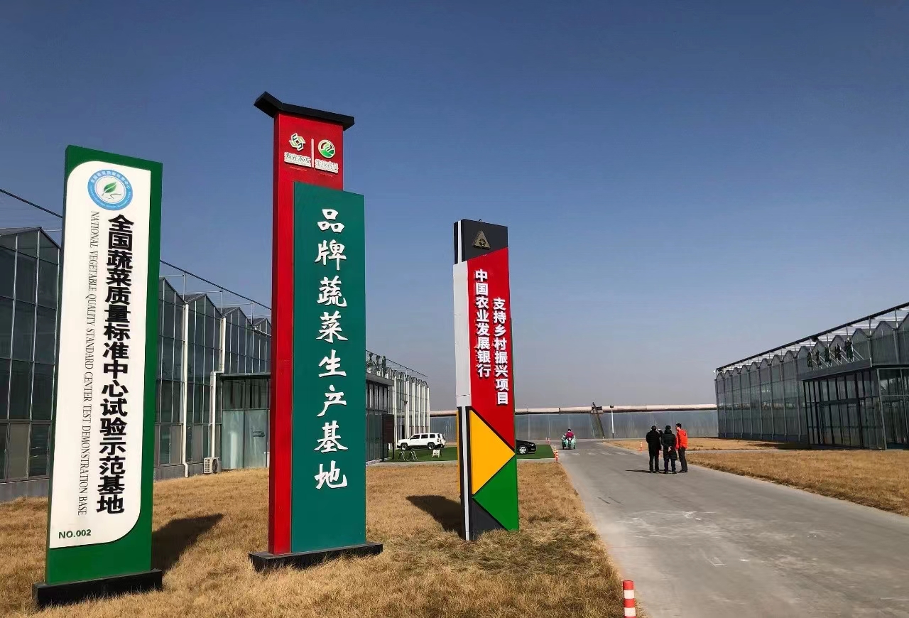 农发行山东省分行：设施农业“贷”动“棚”勃发展(图1)