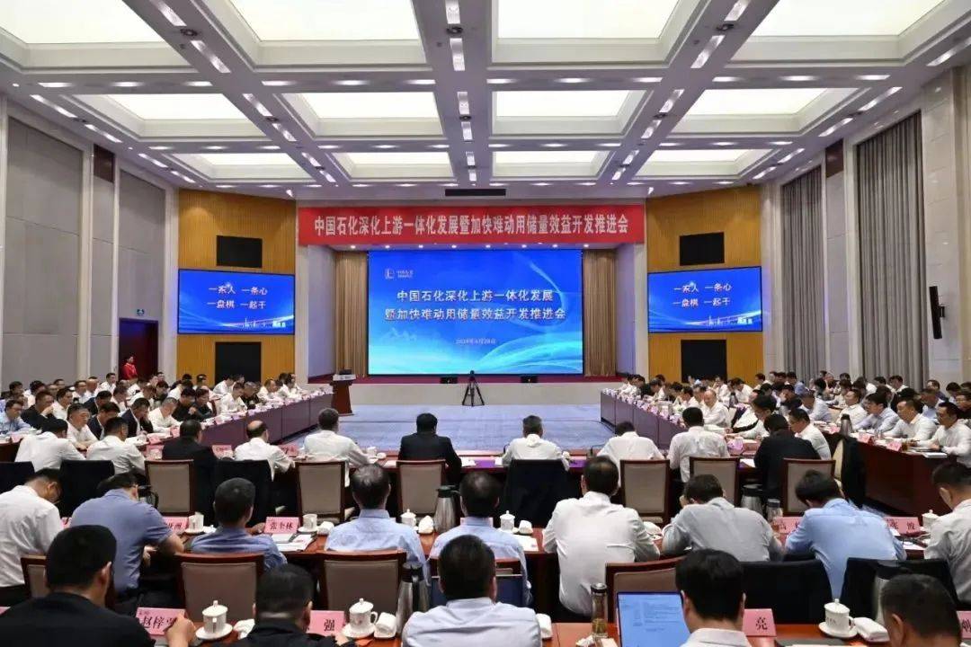推进装备一体化攻关高效开发难动用储量