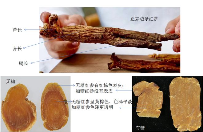 “参”差不齐：入冬后的第一根人参你选对了吗？(图8)