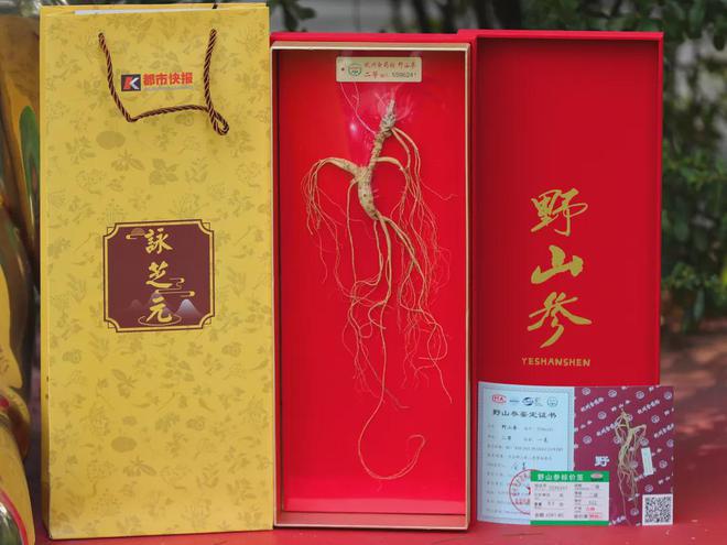 “参”差不齐：入冬后的第一根人参你选对了吗？(图16)