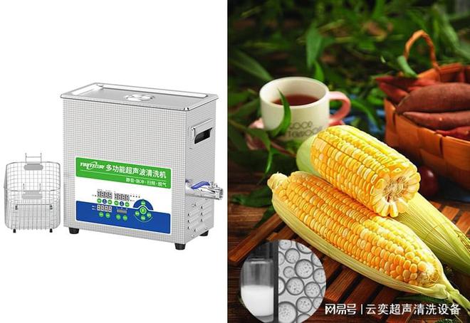 超声波清洗机玉米醇溶蛋白提取原理