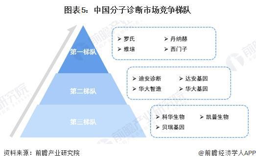 2024年中国体外诊断行业细分市场分析免疫诊断为最大的细分领域（组图）(图5)