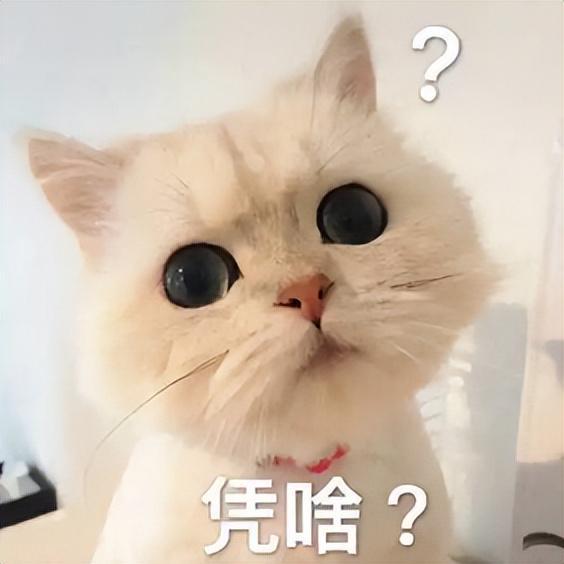 看CES展会颁奖有些不吐不快：美国人服了国货登顶行业天花板(图4)