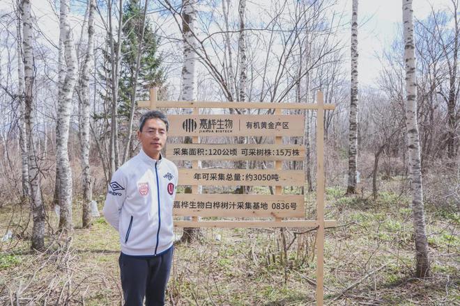 嘉桦白桦树汁即将亮相糖酒会定义植物饮料新未来！(图3)