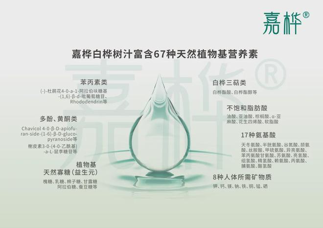 嘉桦白桦树汁即将亮相糖酒会定义植物饮料新未来！(图1)