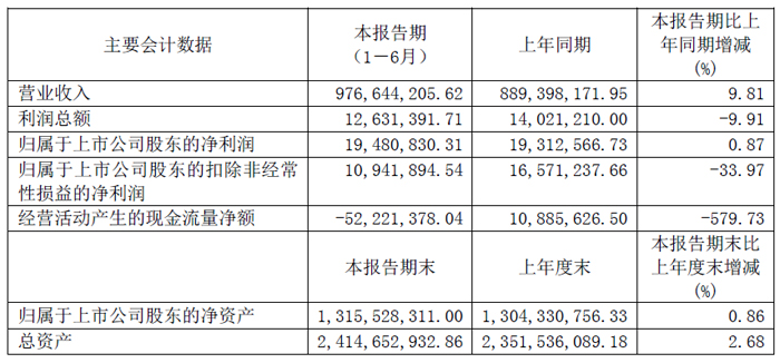 人生就是博：极米、康佳、中微、晶合集成、联合光电、北方华创等13家投影、车载与显示相关企业发布2025年上半年财报(图11)