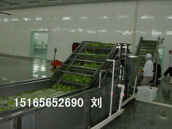 尊龙凯时网站：蔬菜清洗机、大型净菜清洗机、洗菜机