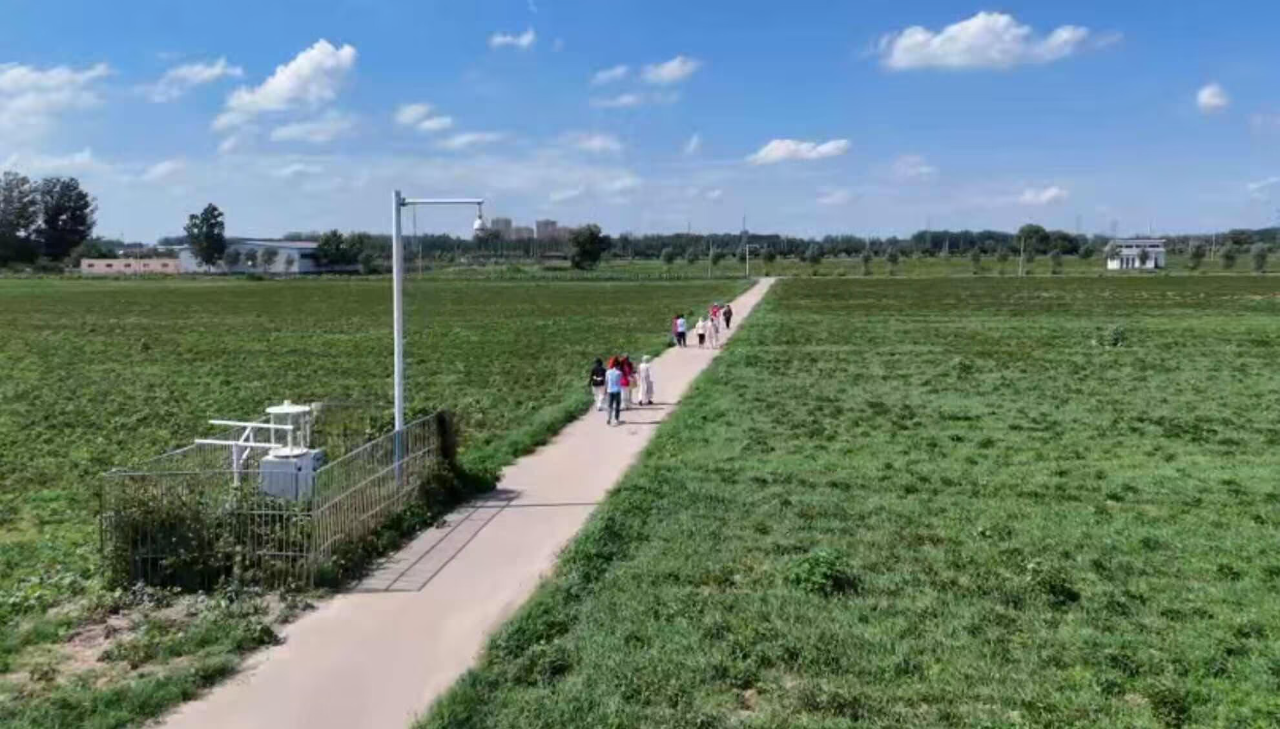 青年走进乡村：一场跨越田野与课堂的“双向奔赴”(图8)