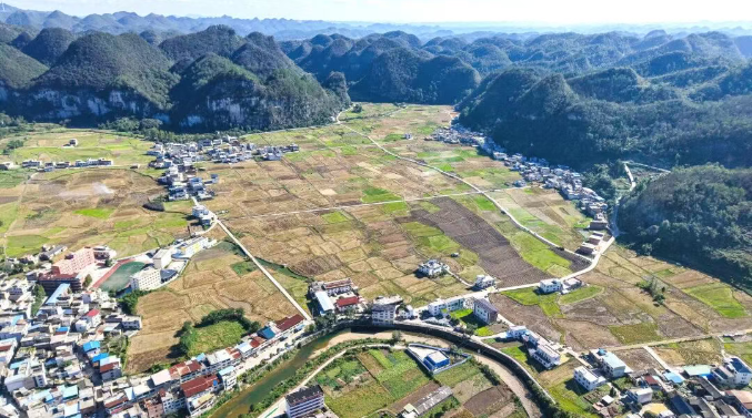 都匀：油菜机械化直播跑出秋冬种加速度(图4)