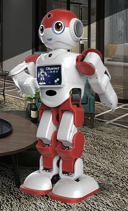 z6尊龙·凯时：全球人形机器人竞争白热化杭州宣布全力攻坚！(图17)