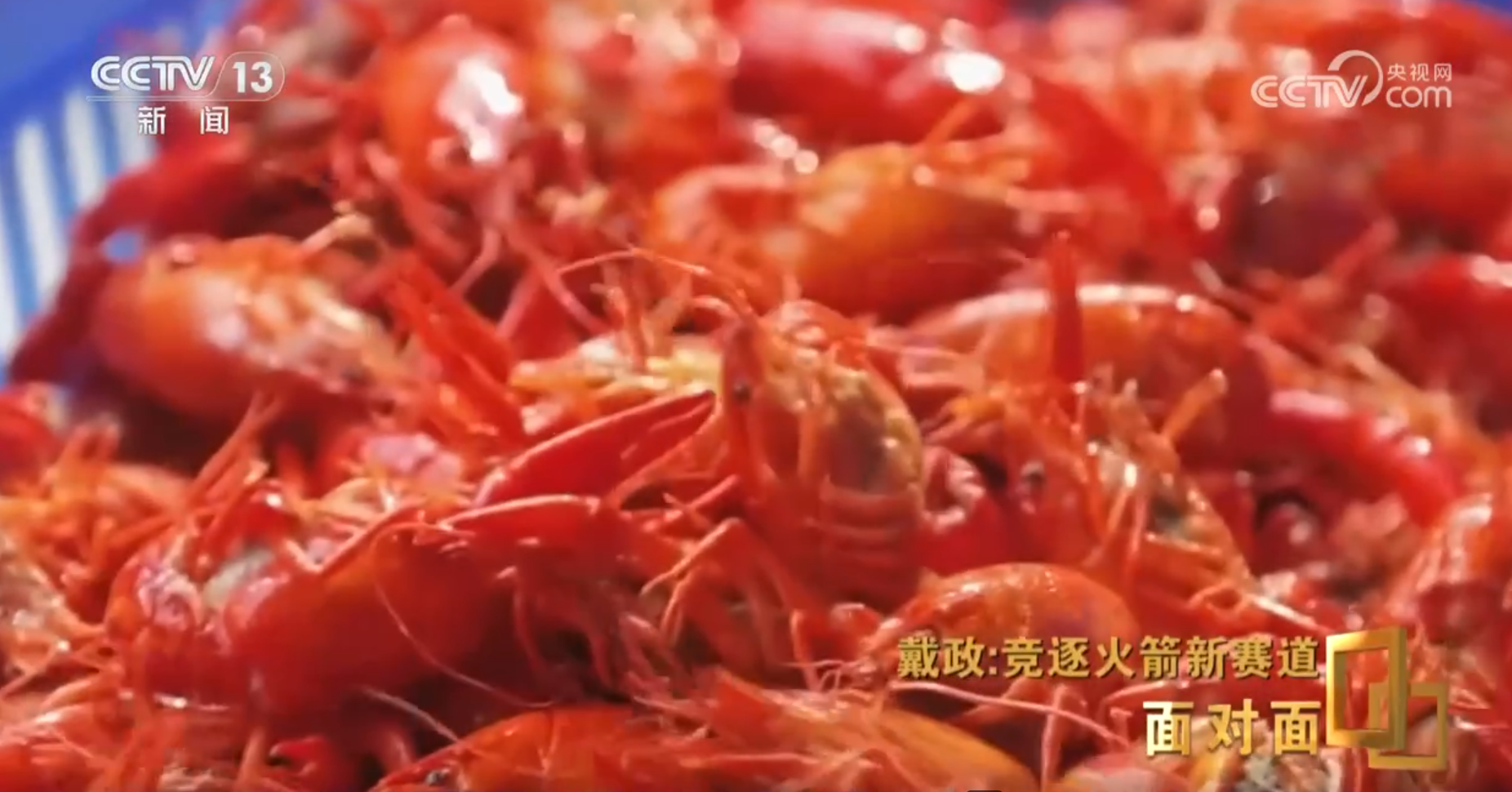 z6尊龙·凯时：面对面丨首次挑战火箭入轨回收朱雀三号总指挥：最后一脚刹车没有踩好(图10)