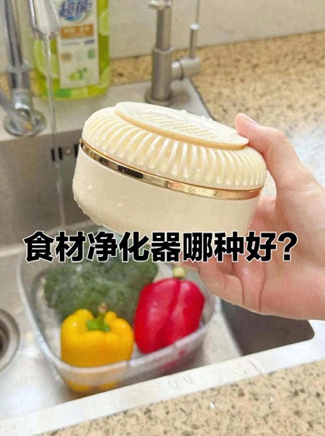食材净化器哪种好？2025最建议买的三款果蔬净化清洗机：口碑公认(图1)