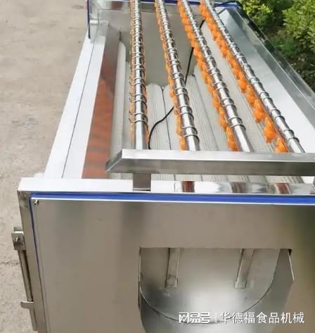净菜加工设备蔬菜清洗机果蔬加工设备预煮机(图2)