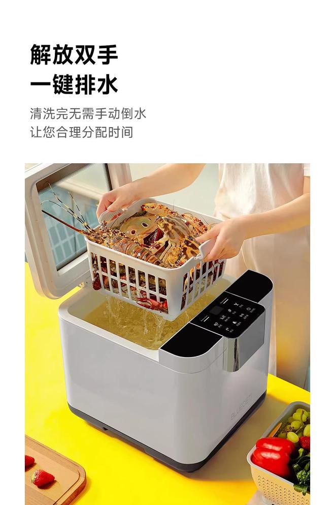 2026年超声波果蔬清洗机：健康生活新选择(图2)